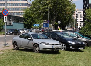 Straż miejska karze donosicieli. Pomyśl, zanim naskarżysz, że ktoś źle parkuje