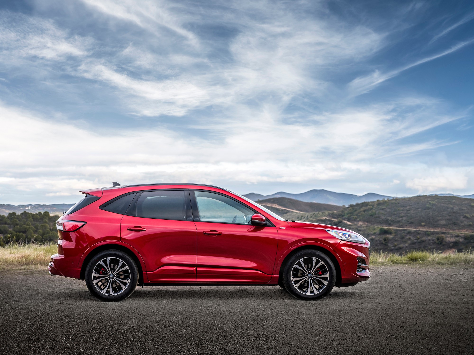 Kuga ST-Line-X EcoBlue Hybrid