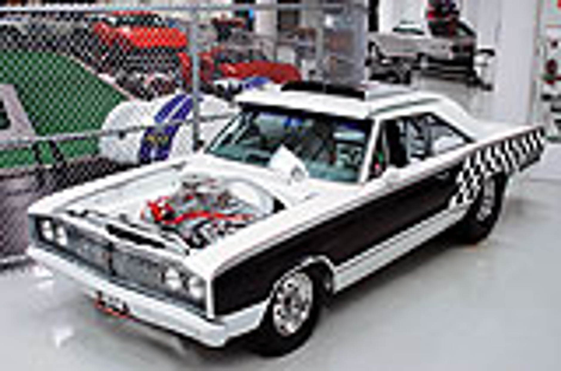 Ciągłość gatunku