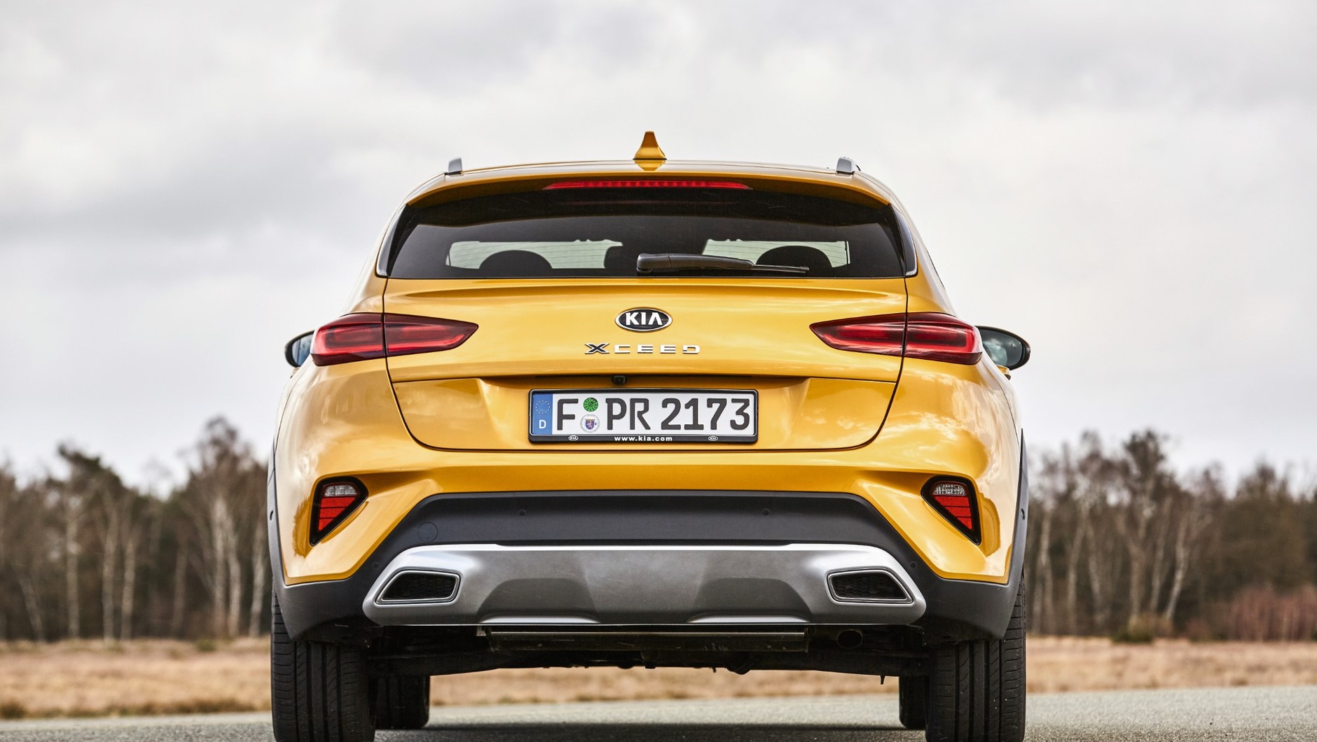Nowy Citroen C4 kontra Kia XCeed - kompakty czy jednak SUV-y?