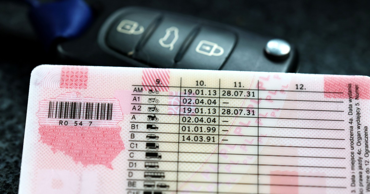 Jak w łatwy sposób sprawdzić ilość punktów karnych? Wyjaśniamy
