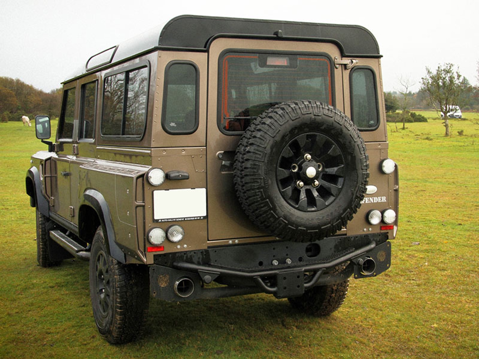 Wildcat Defender z silnikiem Corvetty