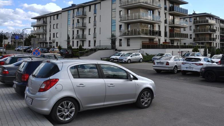 shutterstock 2282241849