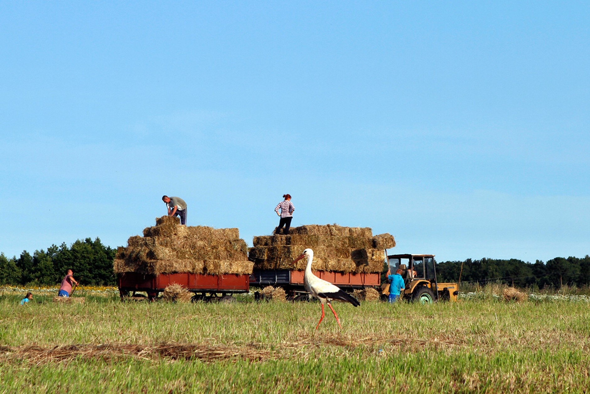 4x4 Family Adventure Kołobrzeg