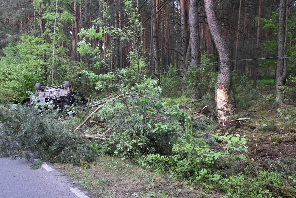 Wypadek z udziałem dzikiego zwierzęcia pod Łukowem