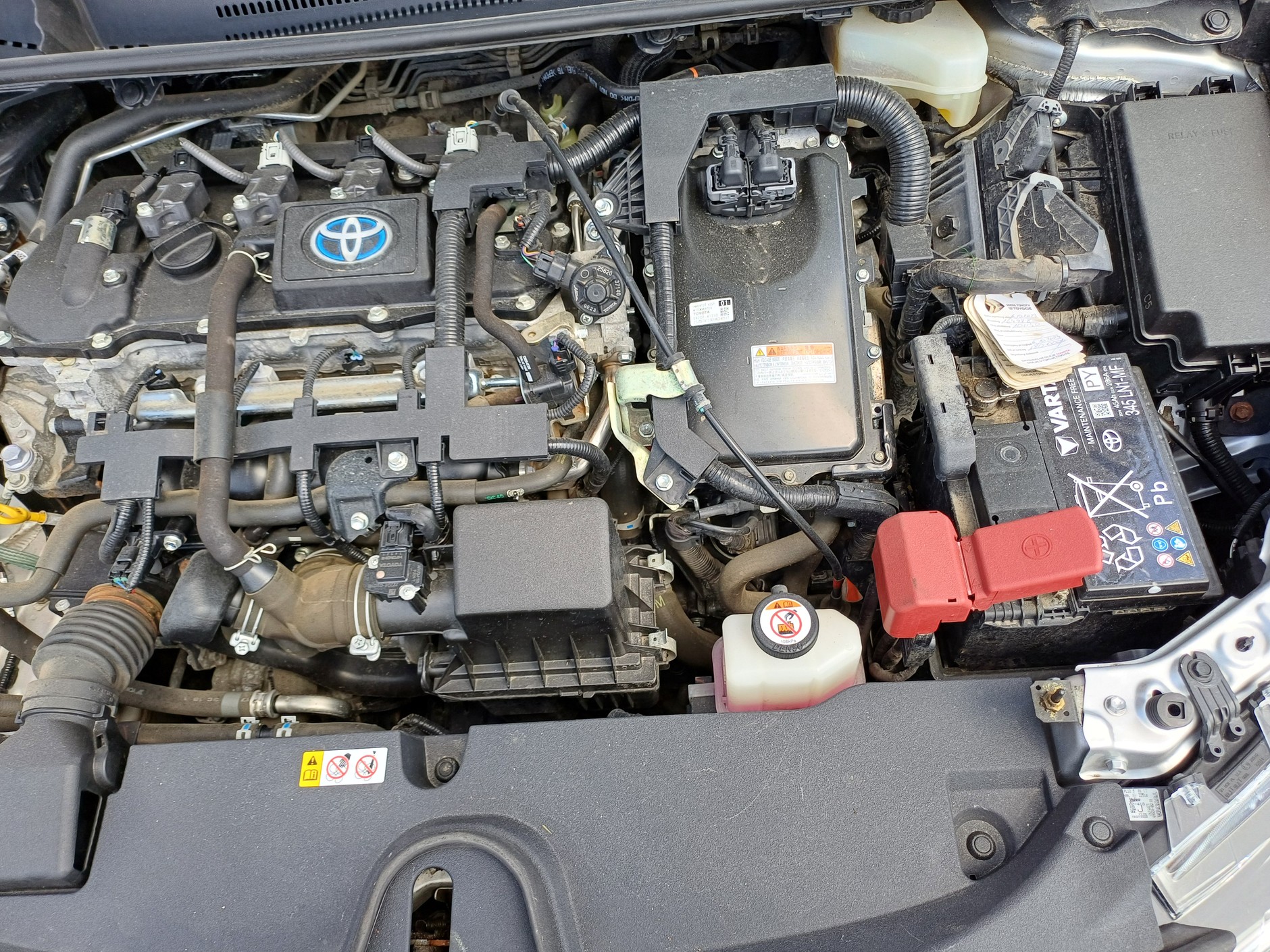 Toyota Corolla z ogłoszenia