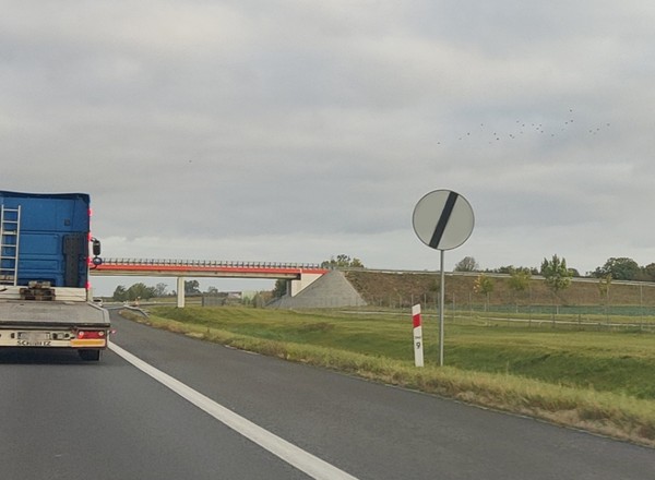 Biały znak B-42 wyróżnia się na polskich drogach. To podstępny zakaz