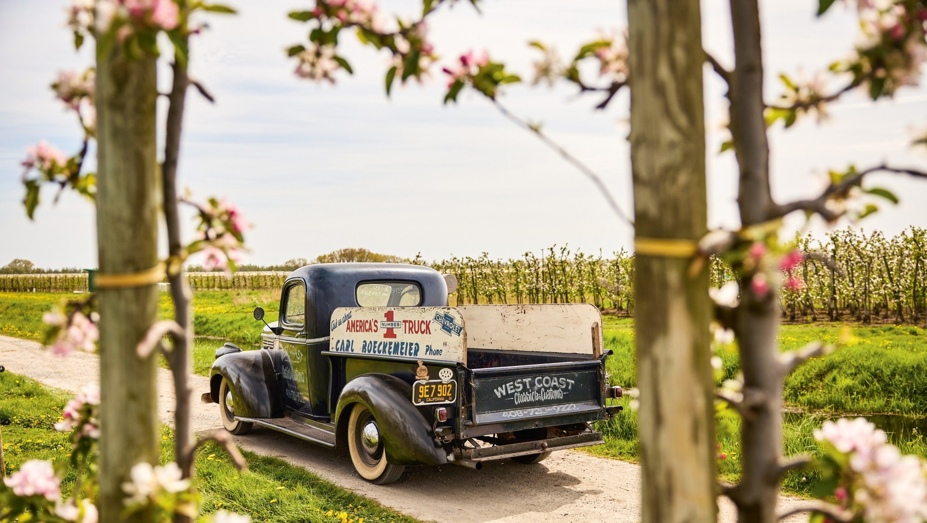 Chevrolet AK Series 3104