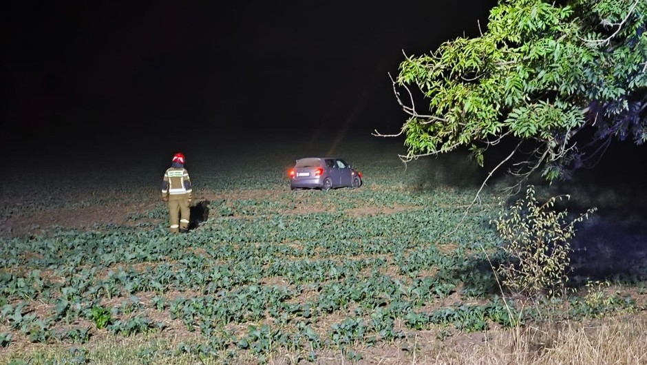 Skoda stała w polu. Kierowca dostał 5 tys. zł mandatu