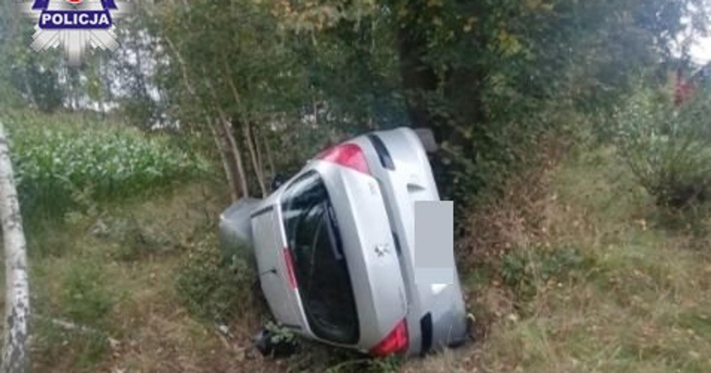 Mucha spowodowała wypadek