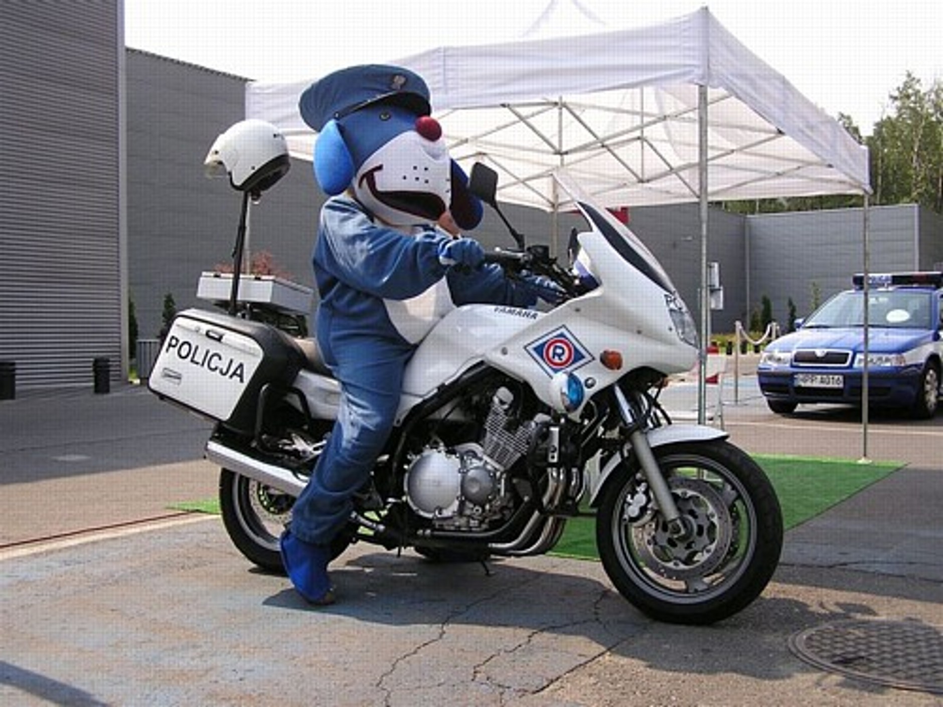 Sosnowiec Geant (16 czerwca 2006)