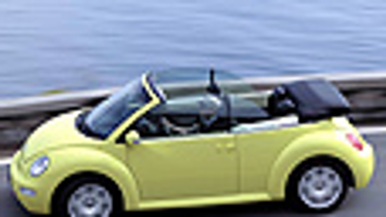 Chrabąszcz bez pancerza