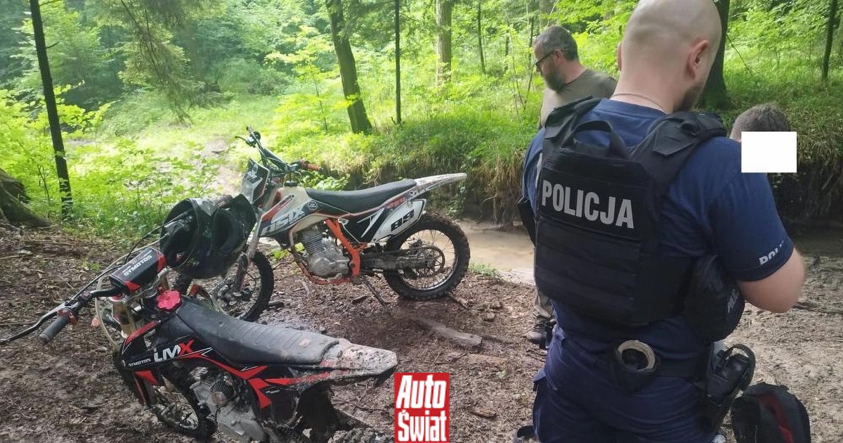 Akcja "Quady 25". Posypały się mandaty za jazdę po lesie, a w komentarzach wylał się jad