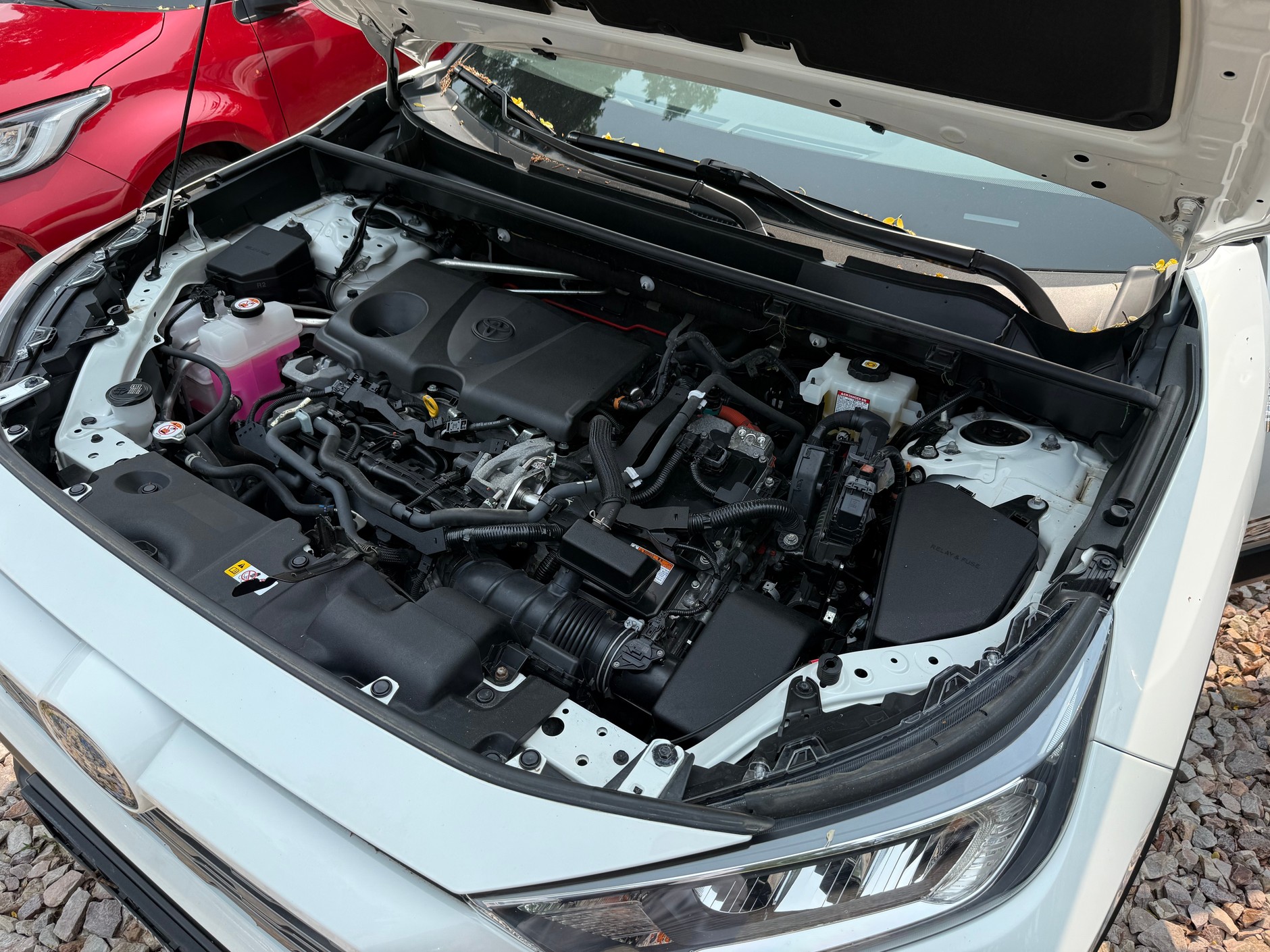 Toyota RAV 4 z 2020 r. oferowana przez autoryzowanego dilera za 123 tys. 700 zł