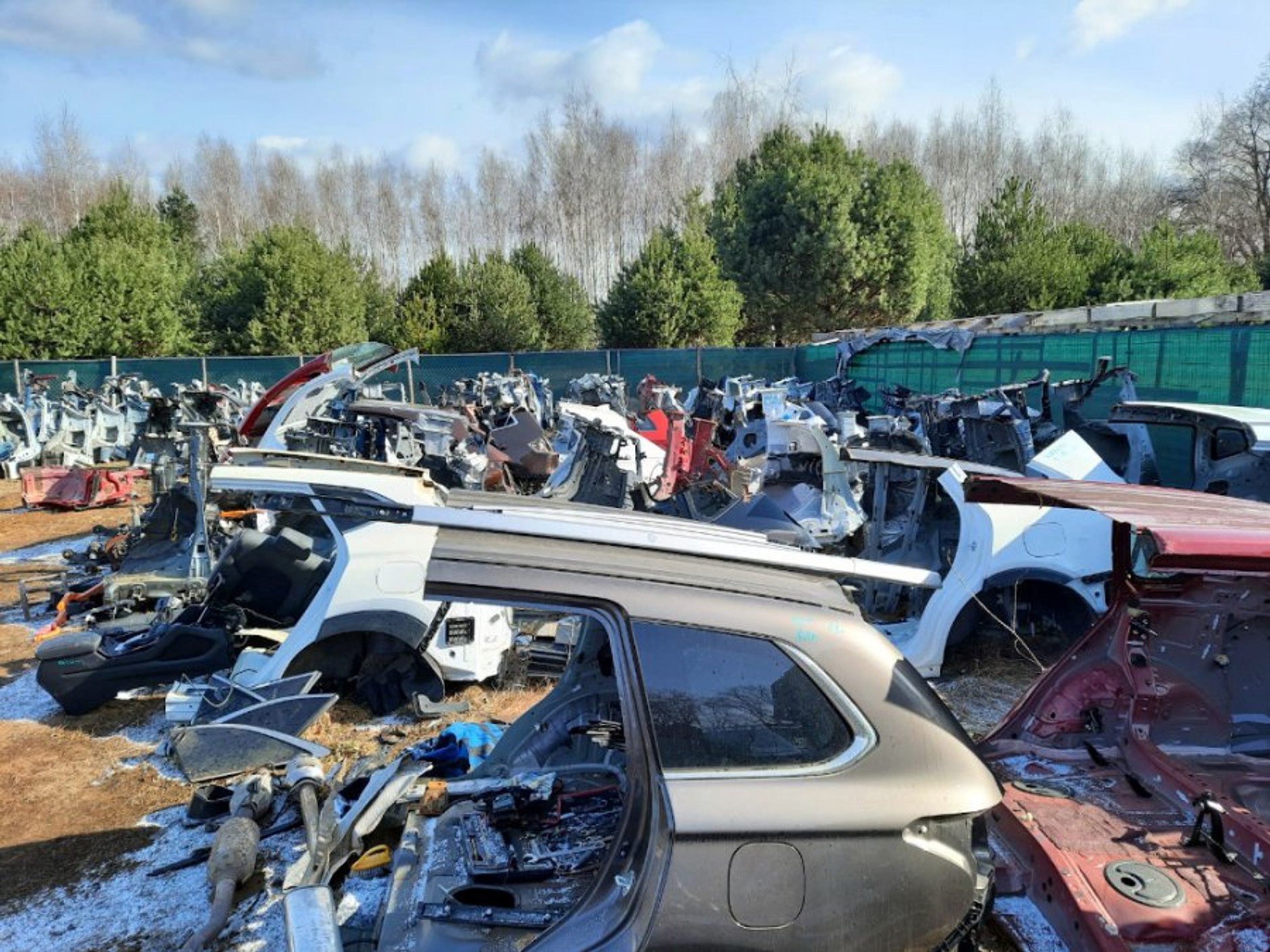 „Dziupla” jak hurtownia motoryzacyjna [Zdjęcia, nagranie]