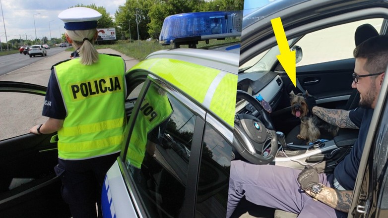 Policjanci uwolnili małego psa z nagrzanego BMW