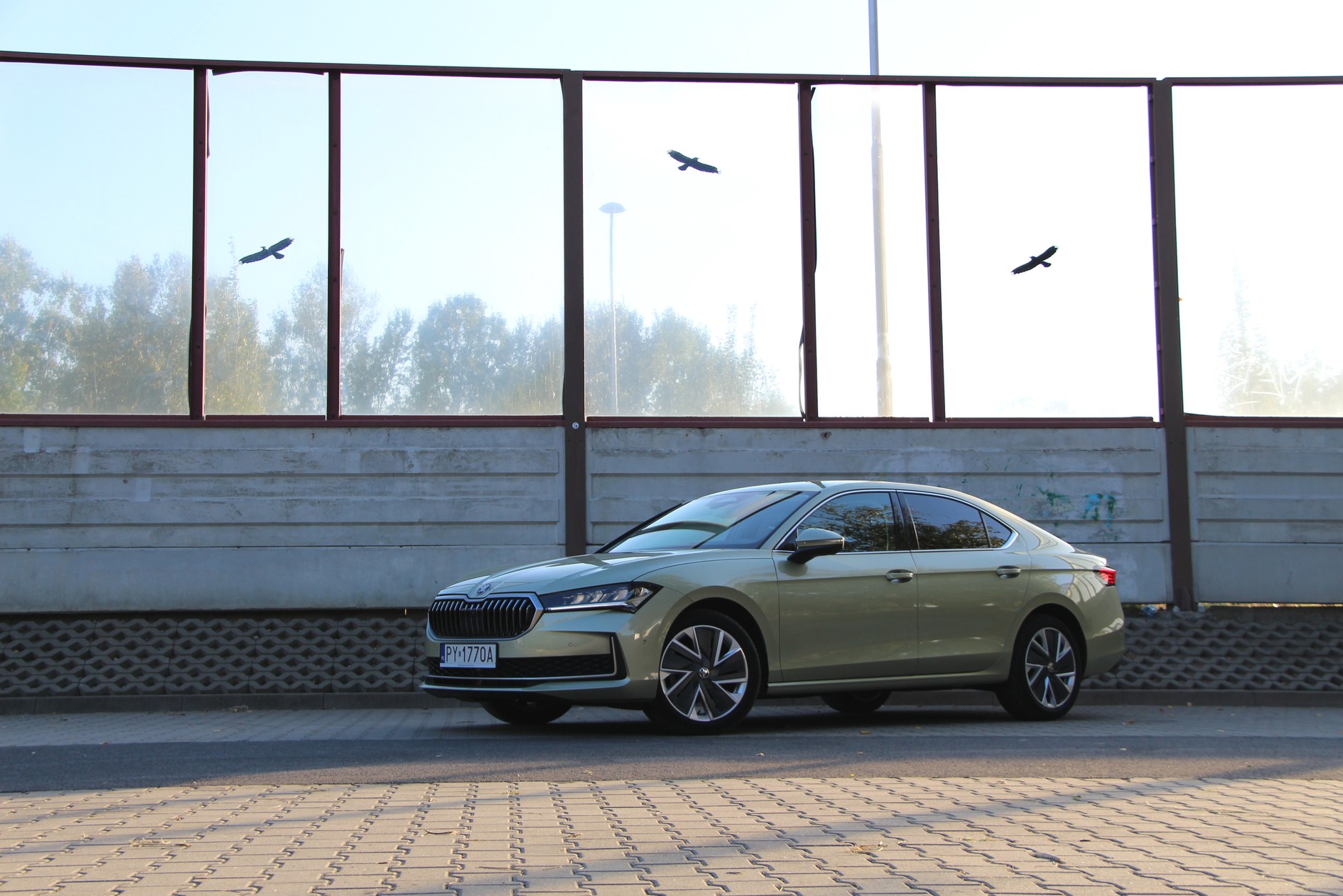 Skoda Superb 1.5 TSI m-HEV Selection