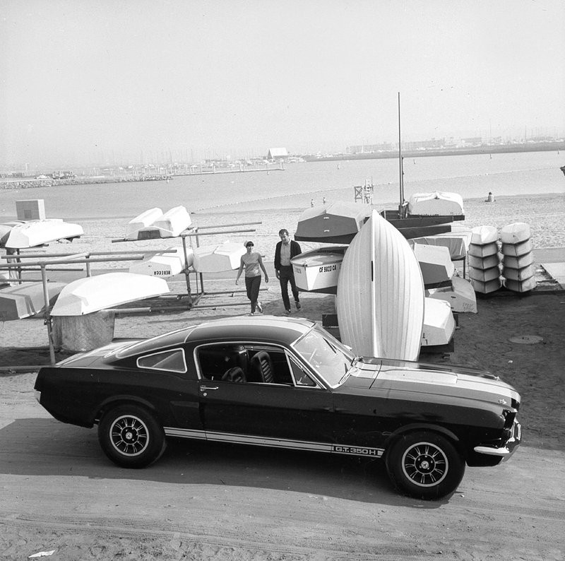 Ford Shelby GT350-H: z wypożyczalni na półki sklepowe