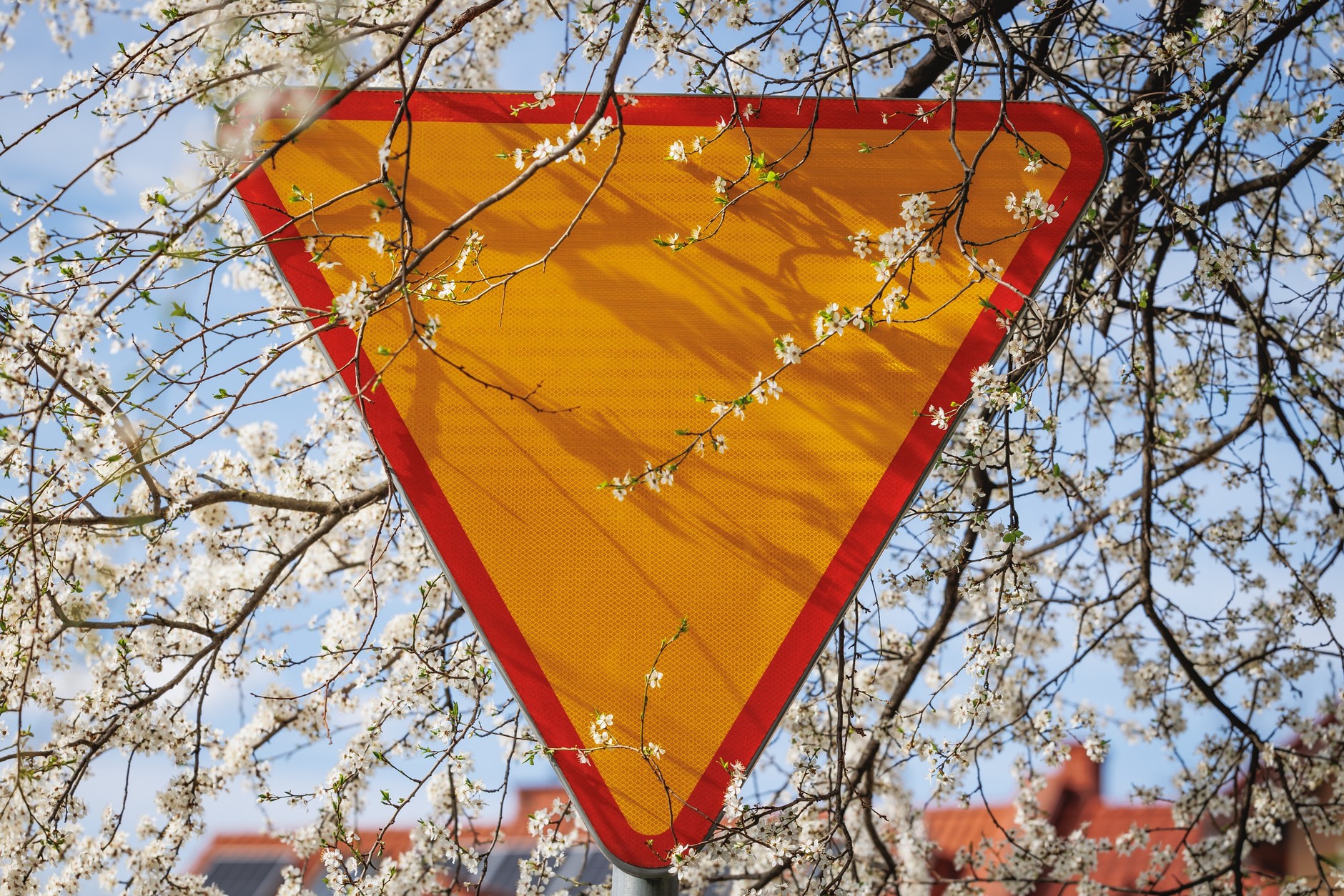 Znak A-7 reguluje kwestię pierwszeństwa na drodze