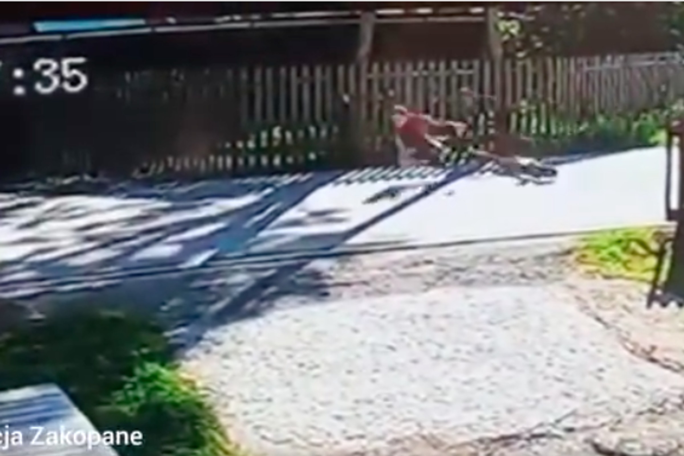 Policja pokazała nagranie z wypadku na elektrycznej hulajnodze. Nastolatek cudem uniknął tragedii