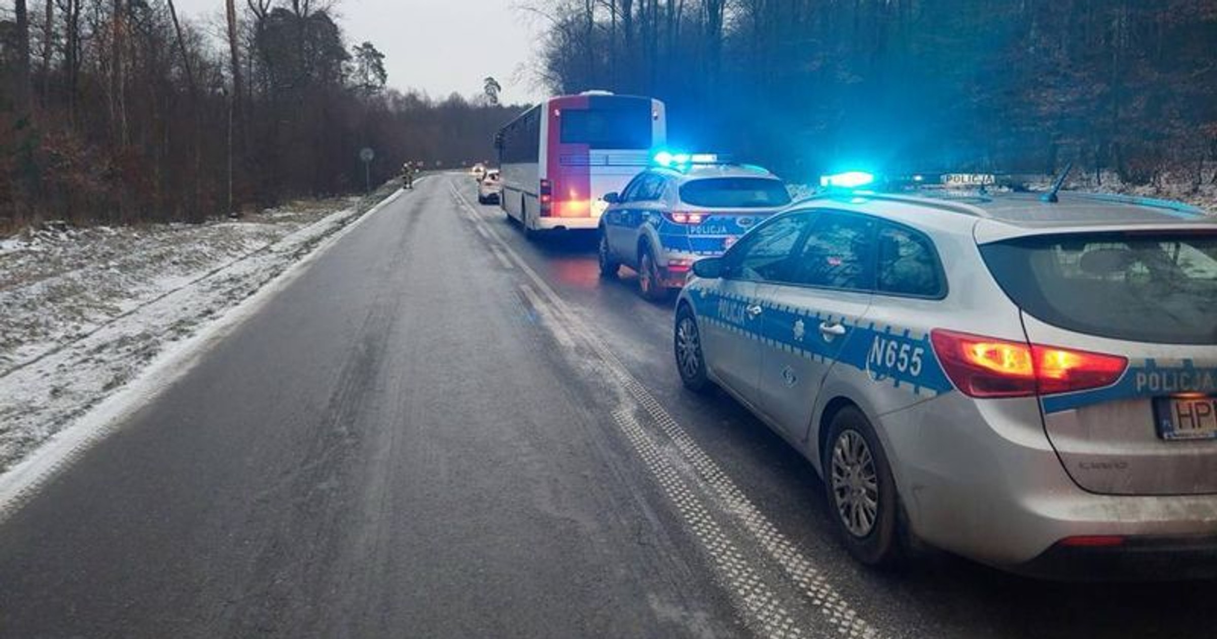 Kolizja na trasie Prabuty – Kwidzyn z udziałem sarny