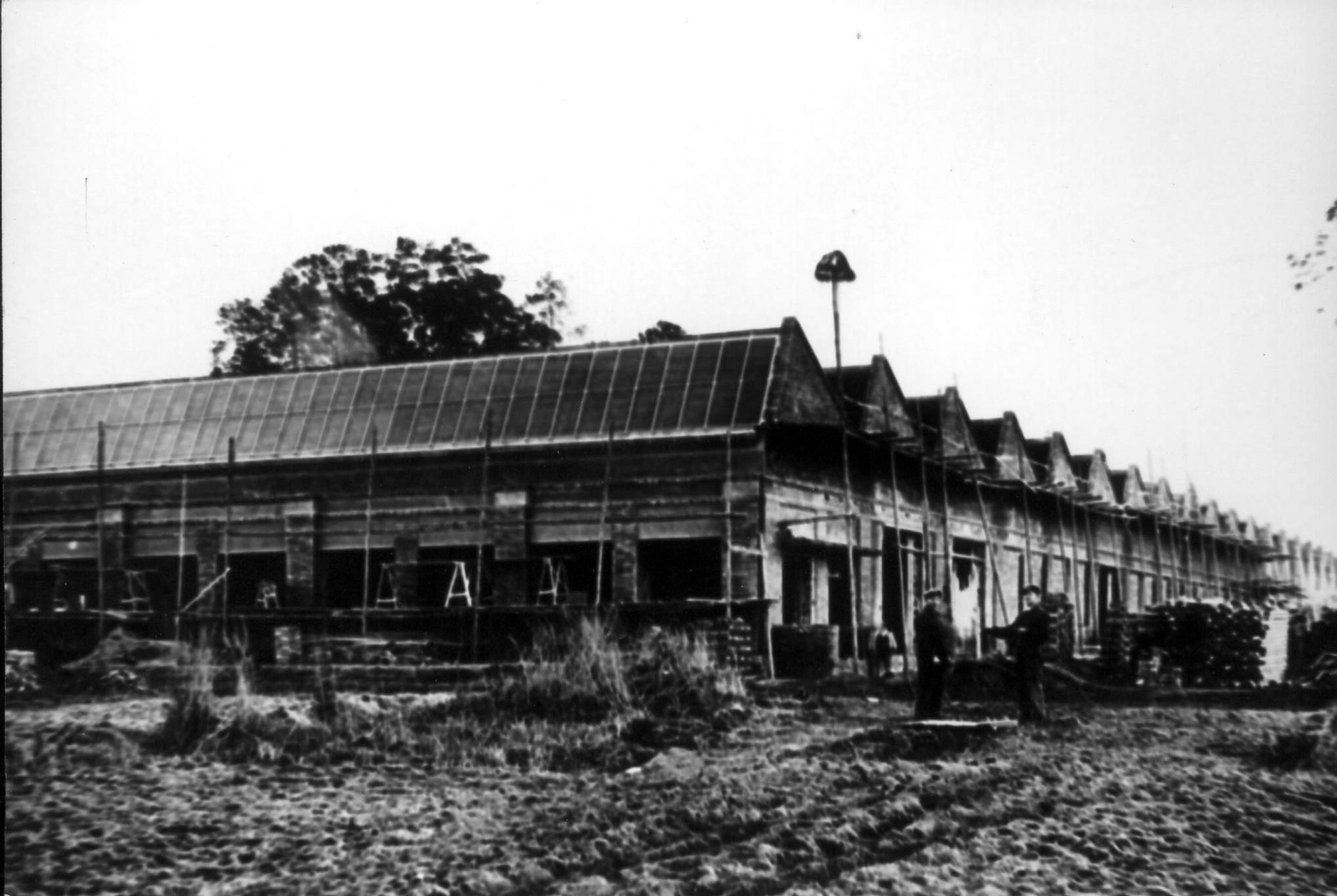 80 lat fabryki opon w Dębicy