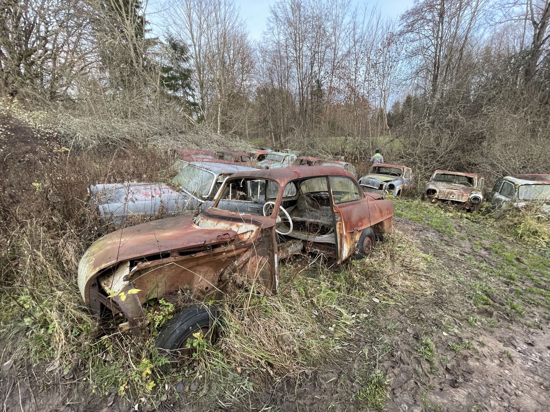 Cmentarzysko samochodów w Bastnas w Szwecji