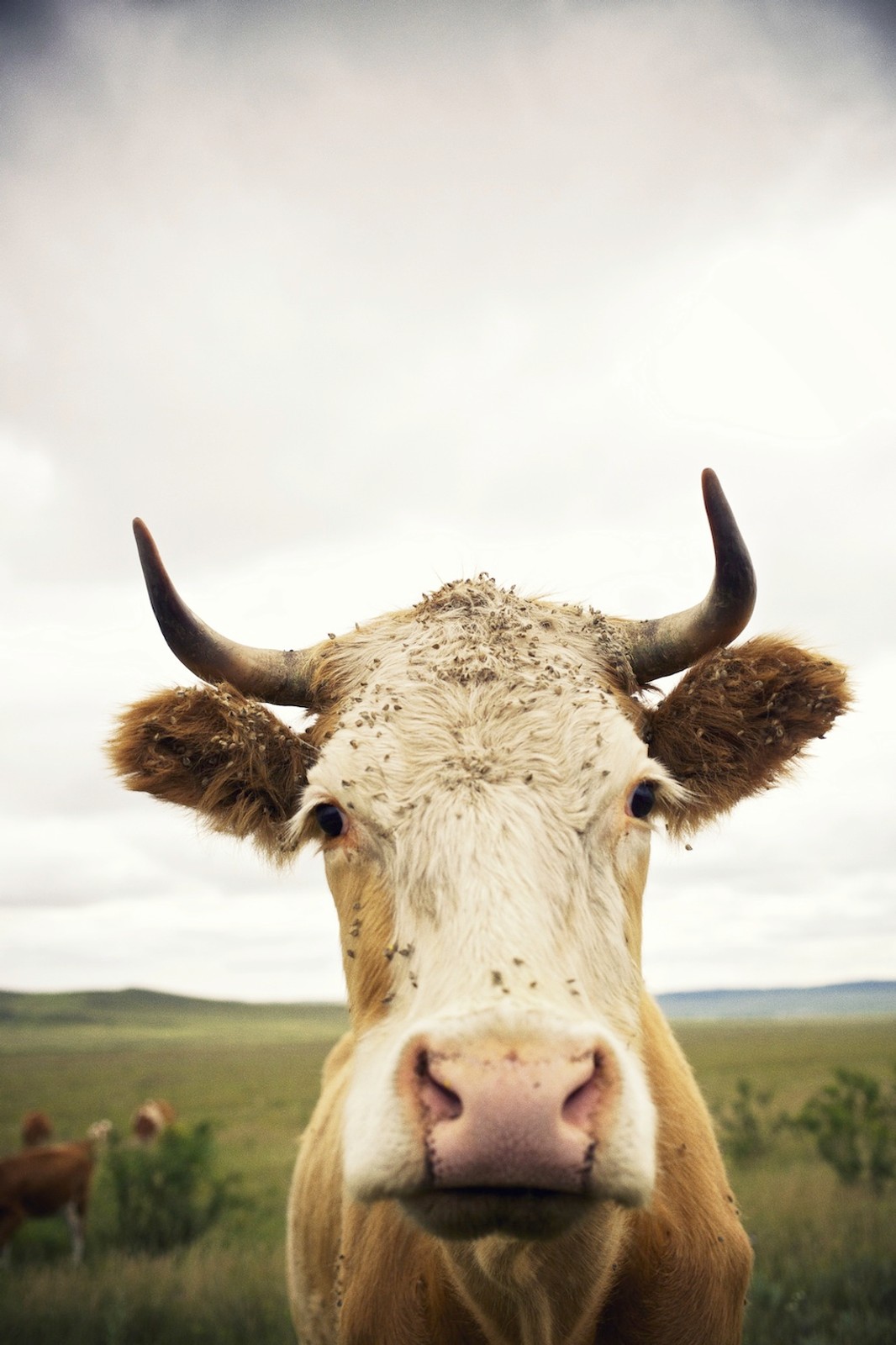 Nowa Mazda 3 na Syberii