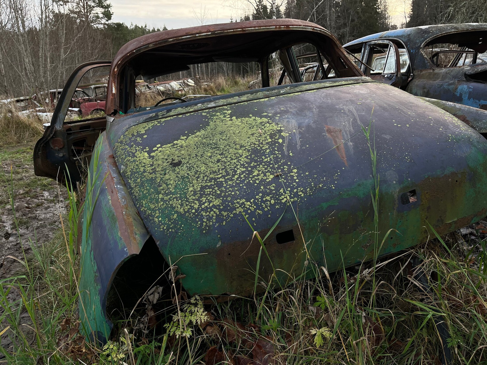 Cmentarzysko samochodów w Bastnas w Szwecji