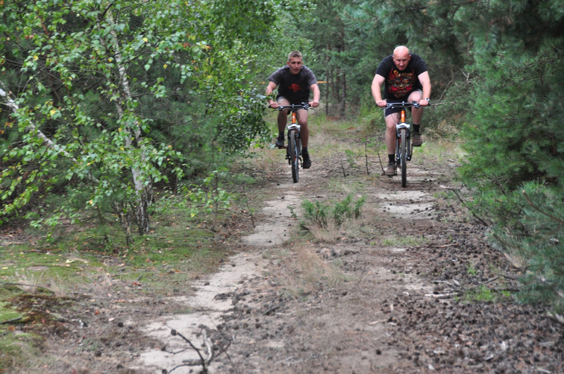 4x4 Freelander Active Trophy: survival nie taki straszny