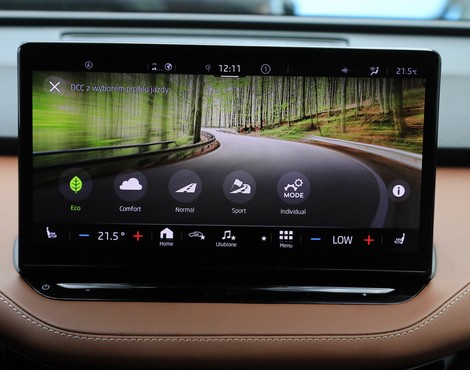Skoda Enyaq iV 80 2021