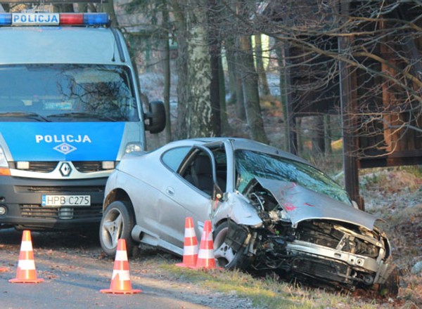 Wypadki z udziałem dzikich zwierząt - Zwierzę na drodze? Nie warto omijać!