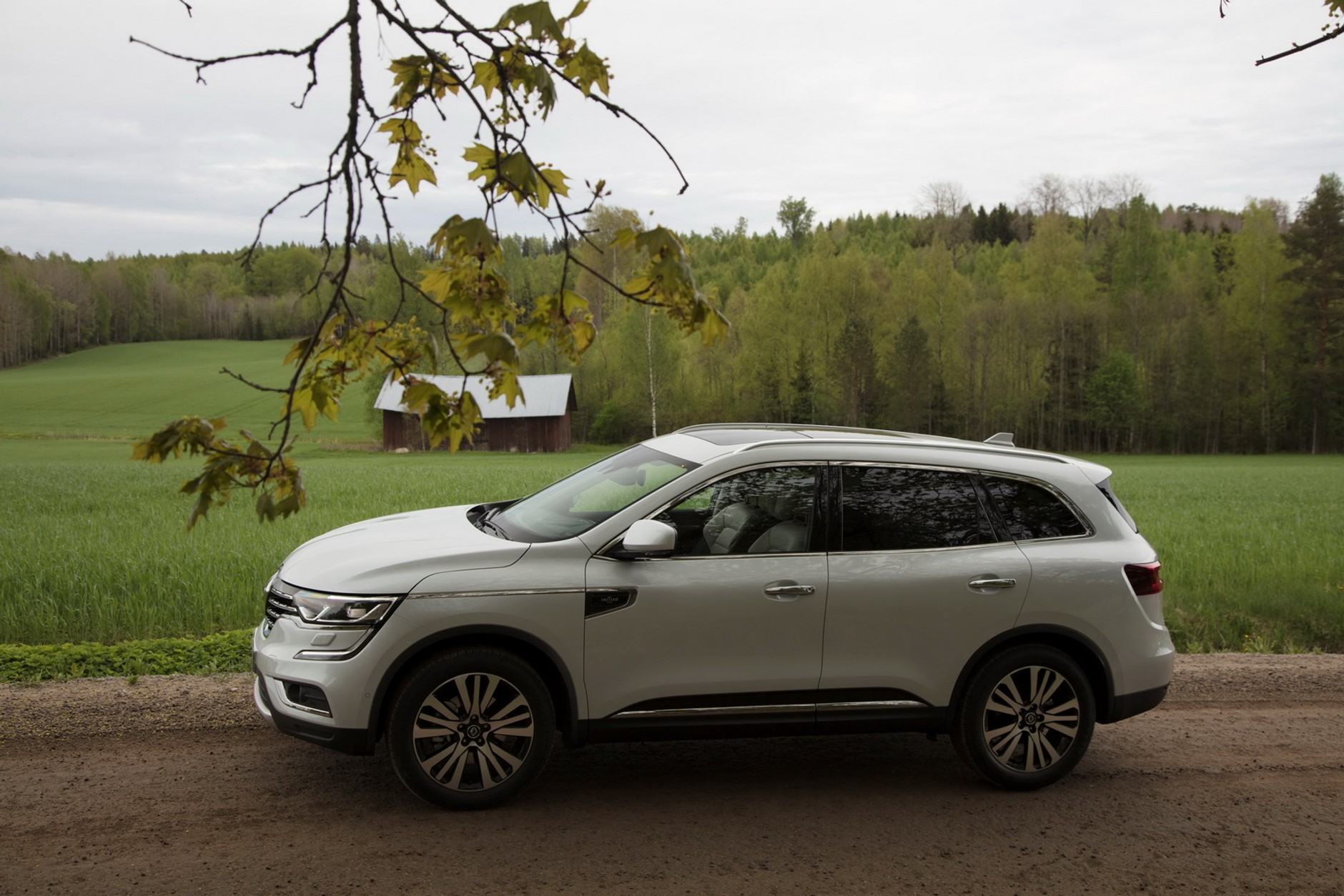 Renault Koleos - to naprawdę udany samochód