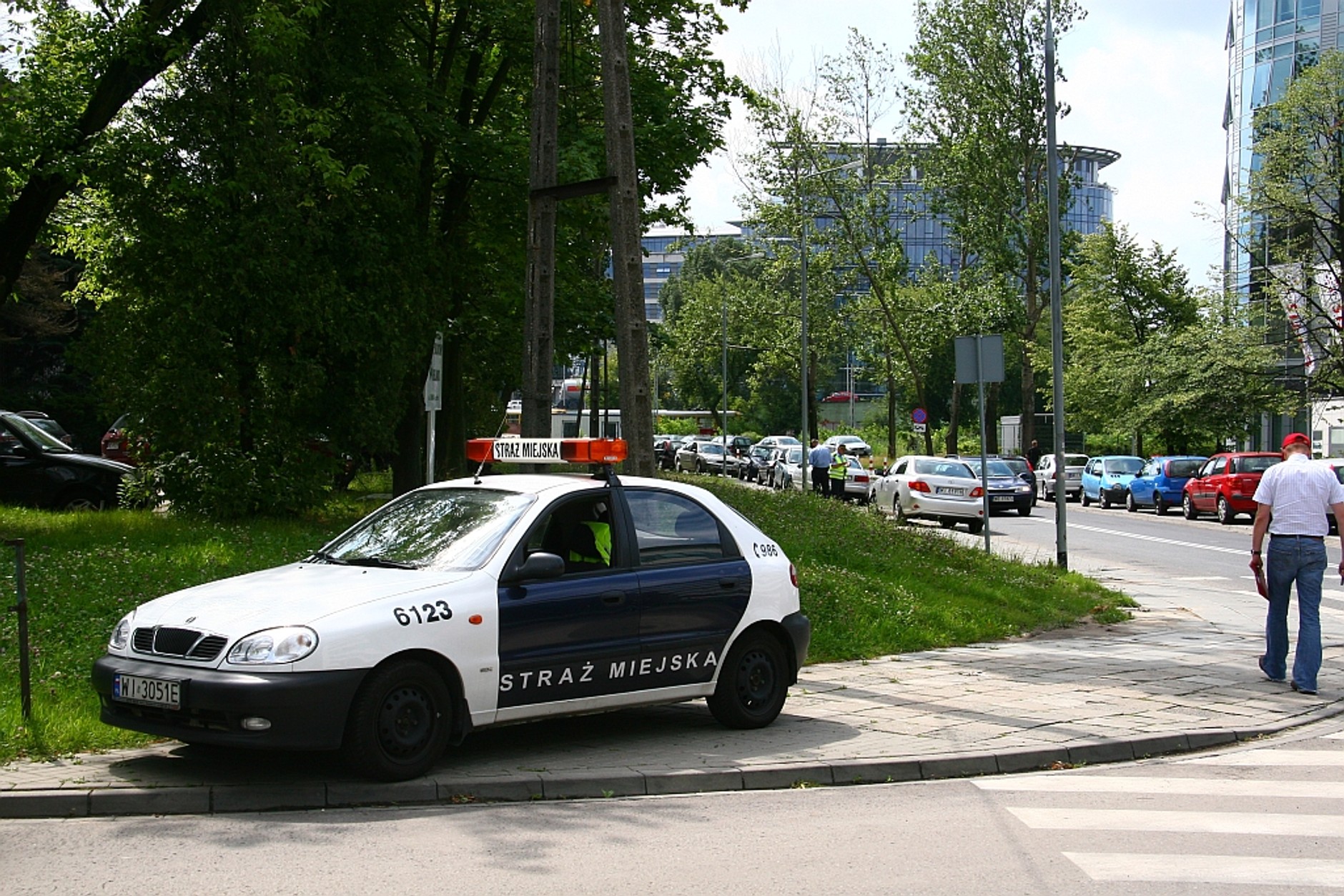 Straż miejska - Święte krowy (Wideo)