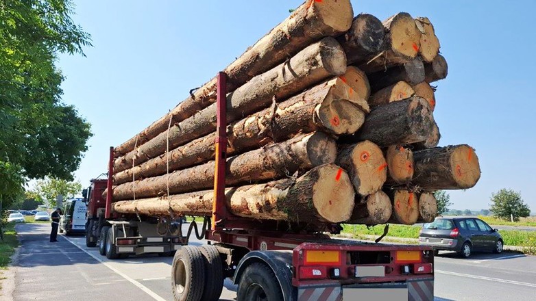 Poważne naruszenia w transporcie drewna