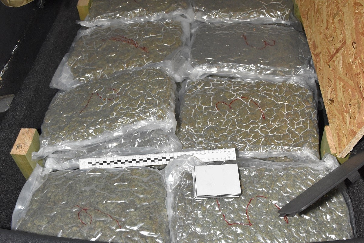 Marihuana zabezpieczona przez funkcjonariuszy NOSG