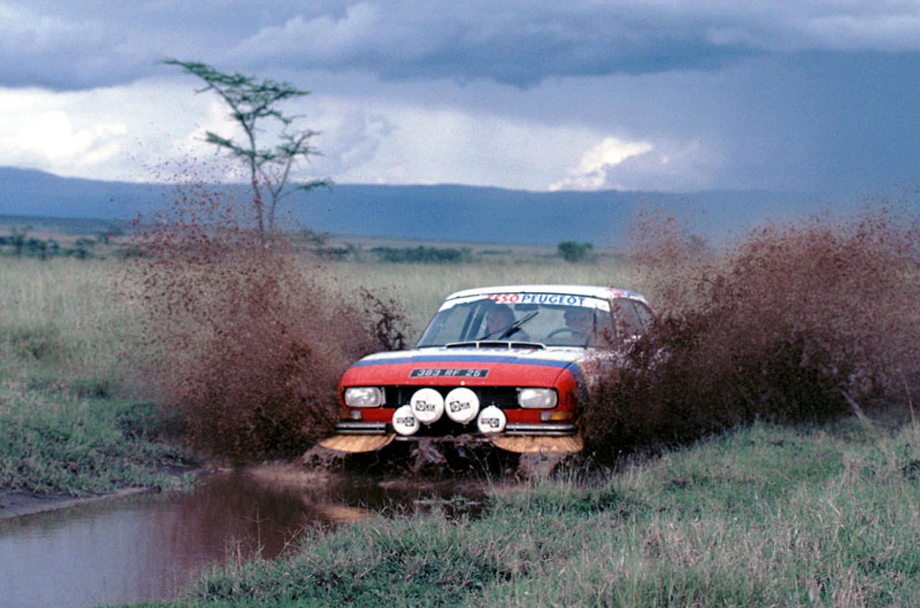 Peugeot 504: francuski hrabia obchodzi 40 urodziny
