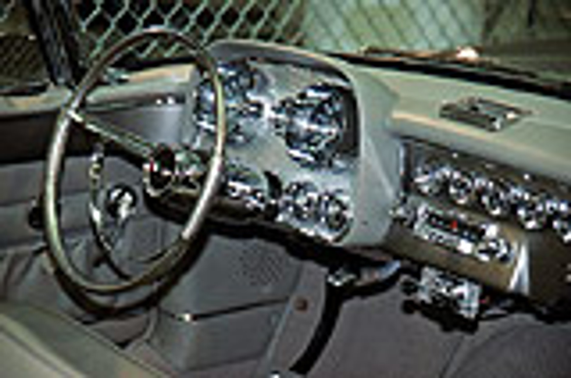 Ciągłość gatunku