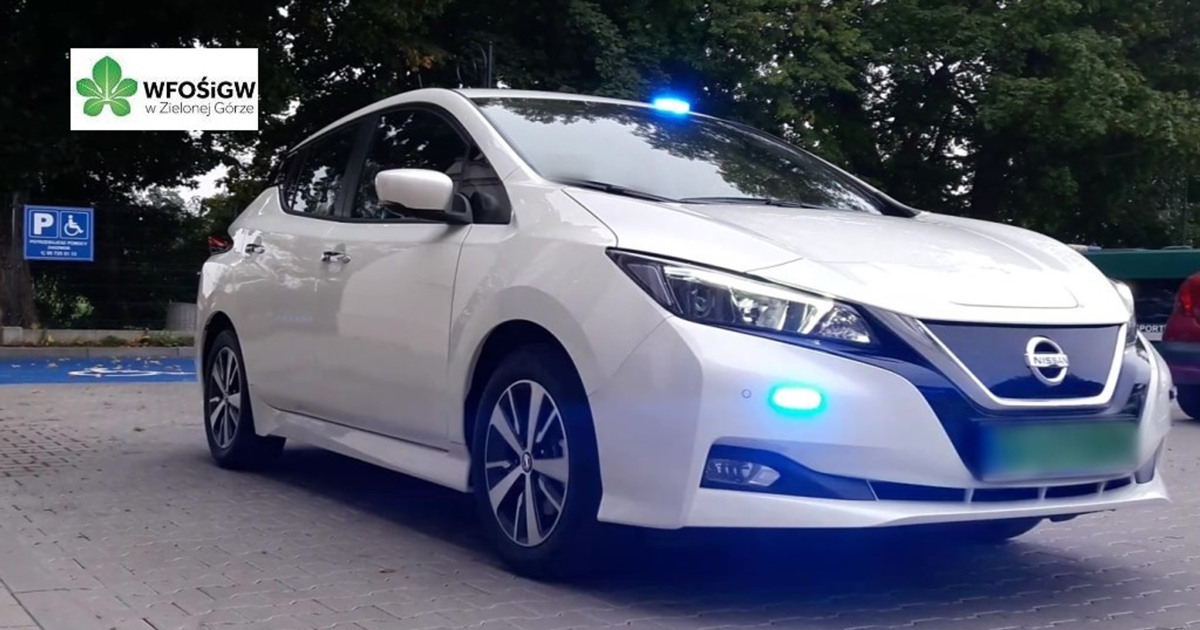 Nissan Leaf GITD