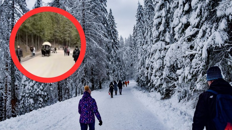Wściekła się w drodze nad Morskie Oko.  "To totalny absurd" (screen: TikTok/@piatekpiatunio87)