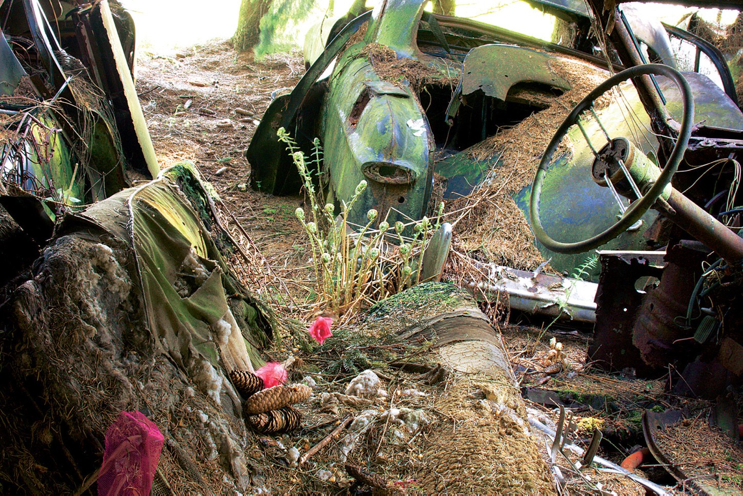 W Oplu Olympii jakiś romantyk zostawił kwiaty...