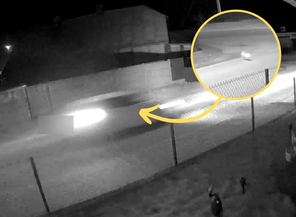 Z impetem staranował Audi ogrodzenie. "Szukał kotka" [WIDEO]