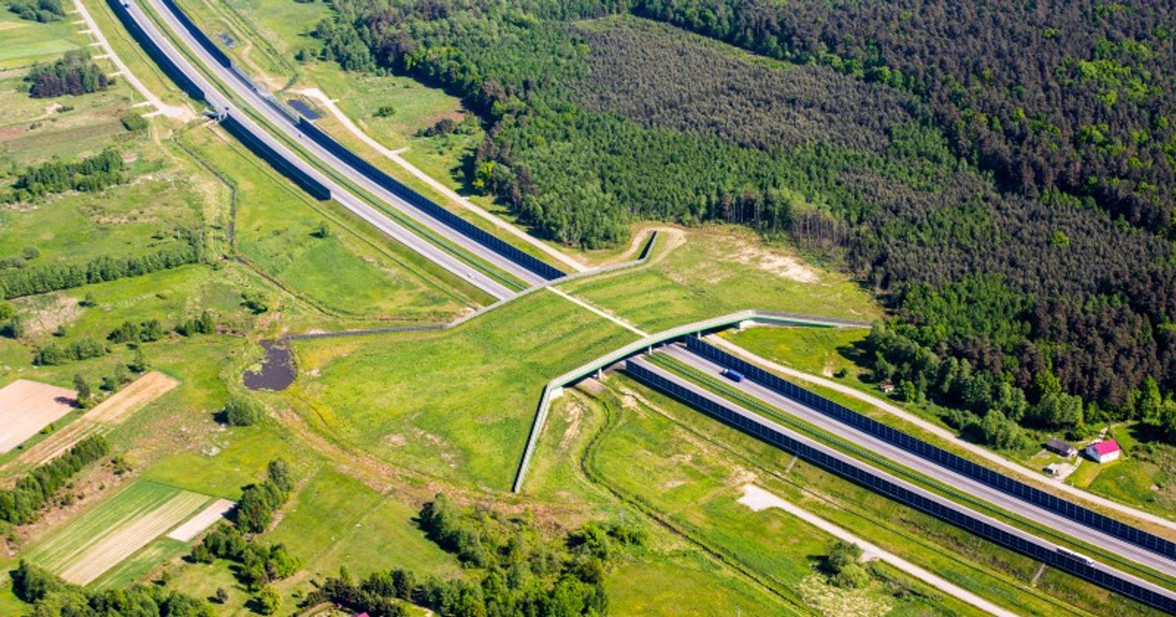 Przejście dla zwierząt. Autostrada A4