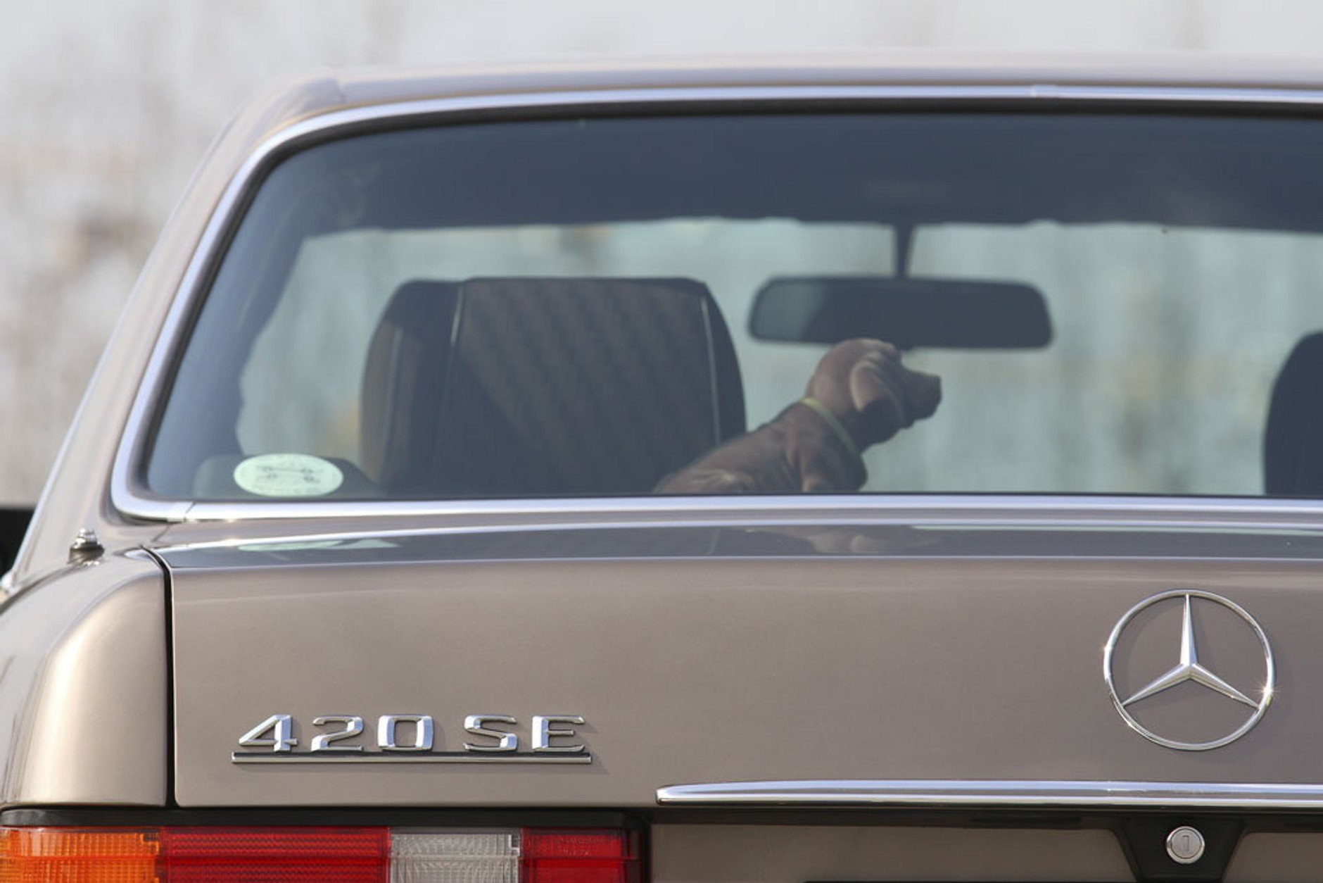 Mercedes W126 - wcale nie musi być "pięćsetka"