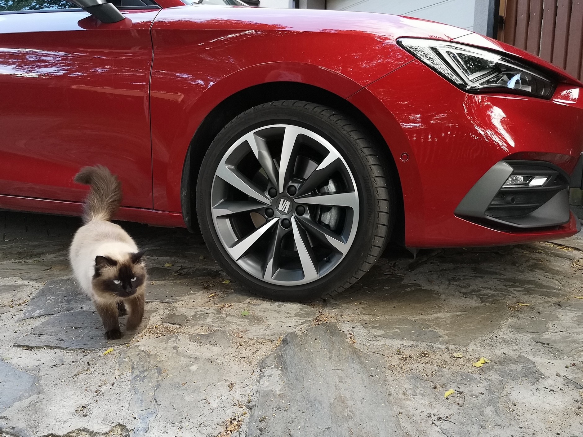 Seat Leon eTSI FR 2020