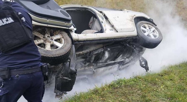 Policjanci usłyszeli niepokojący dźwięk przy autostradzie. Postanowili to sprawdzić