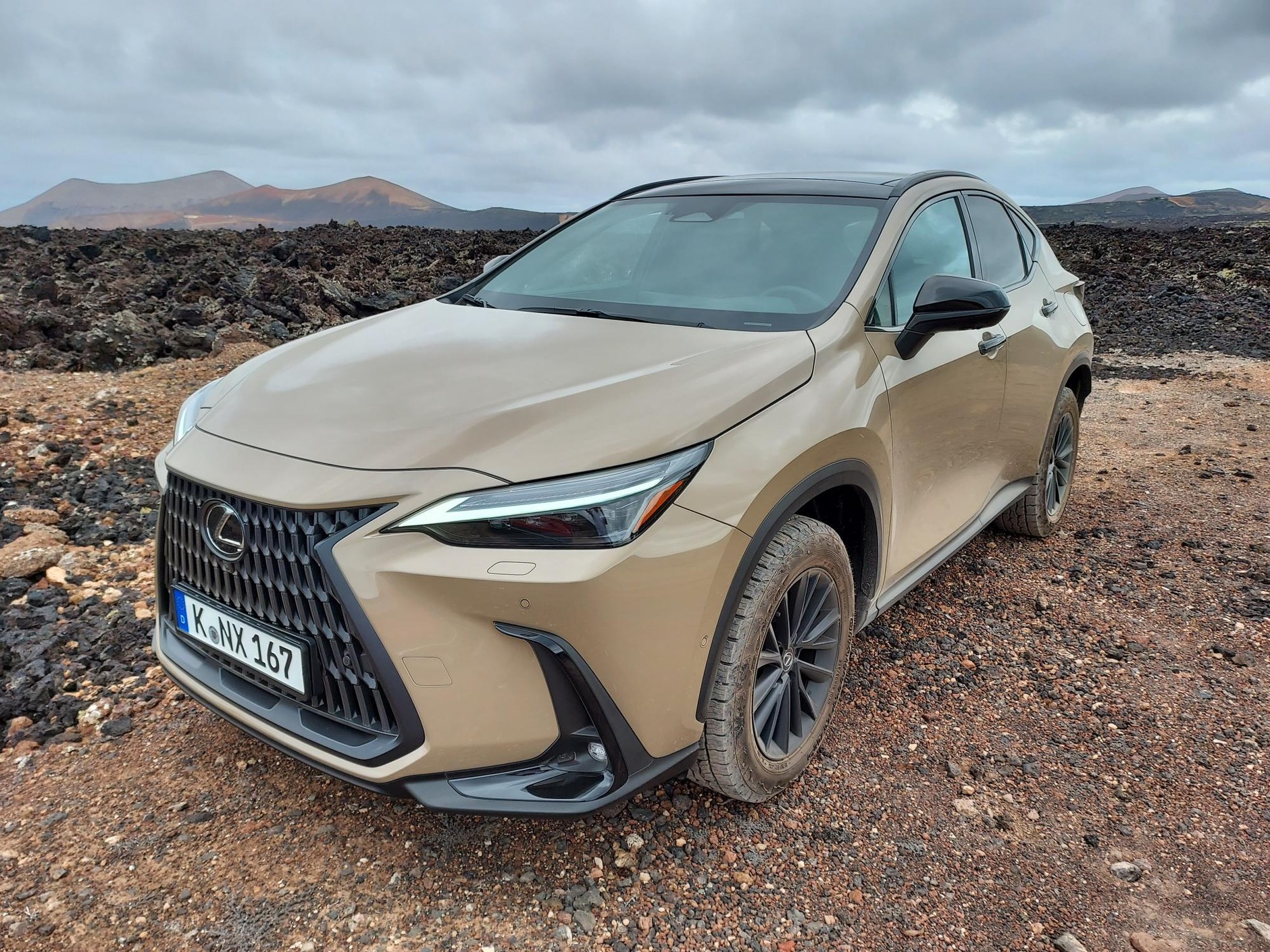Lexus NX Overtrail