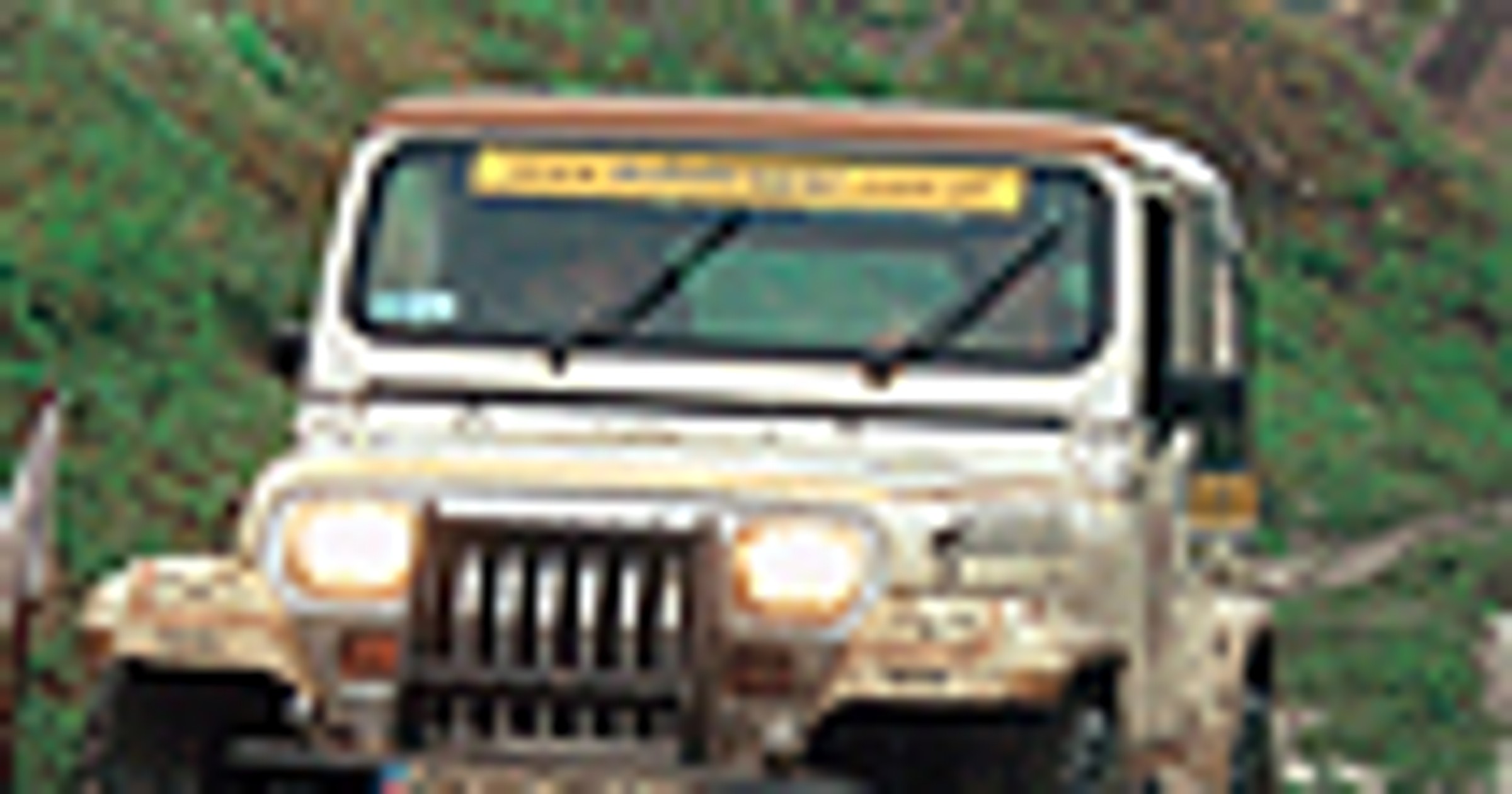 Mistrzowie off - roadu