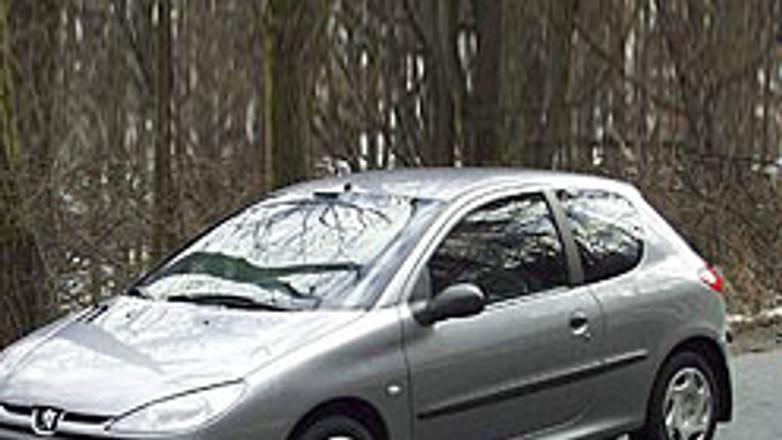 Peugeot 206 (1998-do dziś) - Lwie serce