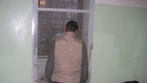 Ukradł samochód pracodawcy i rozbił go